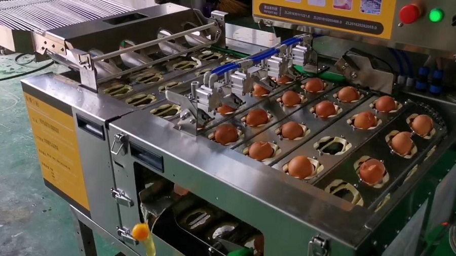 四聯(lián)式敲蛋機(jī)-四排破蛋-對(duì)接型-全蛋液（雞蛋）