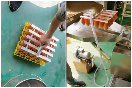 真空吸盤上蛋機(jī)實(shí)操圖